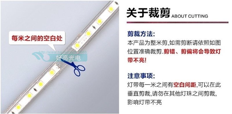 LED高压灯条